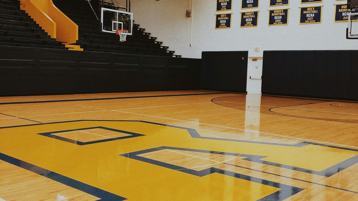 Basketballs lined up in a gym before practice.